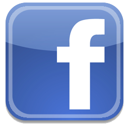 Pleiades Bangladesh Ltd.(facebook)
